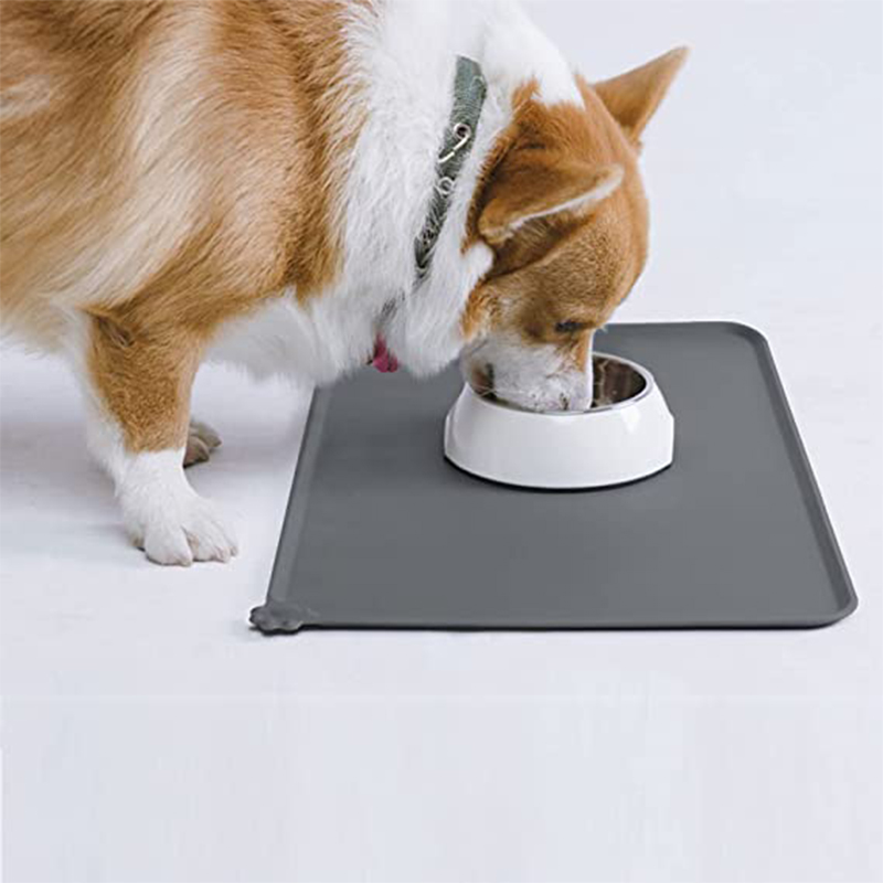 Come ridurre l\'ansia per gli animali domestici